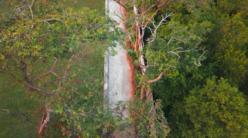 Thronefield Eco Lodge, Wattala — resort and nature photography