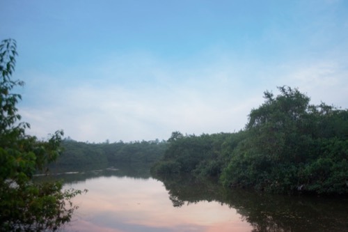 Thronefield Eco Lodge, Wattala — resort and nature photography