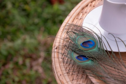 Thronefield Eco Lodge, Wattala — resort and nature photography